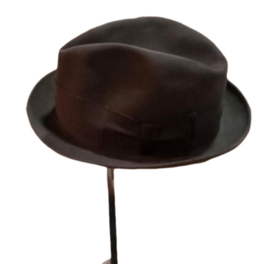 THE BIG STORE, DOBBS , VINTAGE FEDORA BROWN HAT